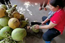 摩旅海南岛西线，第一次买新椰子喝椰汁，感觉竟然象臭酒的甘蔗味