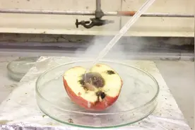 强酸的腐蚀性到底有多厉害？看到苹果的下场，你会被惊讶到视频封面