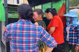 广西桂林的土鸡100元能买到12只，卖这么便宜，这样的鸡能吃吗视频封面