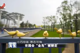世园会“金鸟”被掰走 紫竹院竹笋被盗挖 文明游览才能让美景长留视频封面