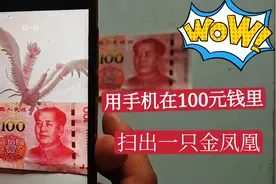 兵哥教大家，如何用手机从100元钱里扫出金凤凰，快来看看吧视频封面