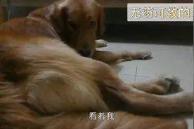 茯苓：这下我是明白为什么我主人在药店上班了，合着她药不能停视频封面
