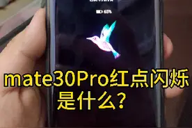 华为mate30Pro前摄像头红点闪烁 是不是偷窥隐私？视频封面