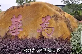 实拍武汉华为基地，位于光谷未来科技城，乘坐地铁11号线可到！视频封面