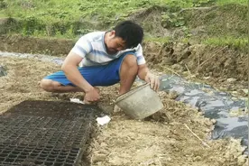 西瓜育苗全程分享，简单易学，看一次就会视频封面