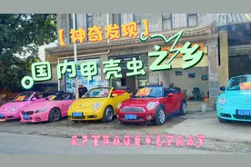 湖边每五辆车就有一辆甲壳虫，这里一定是国内的甲壳虫之乡