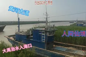 比澳门还大的黄河岛，景区为啥暂停开放了呢？远离都市喧嚣的宁静视频封面