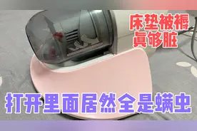 燕子第一次用除螨仪清理床上，几分钟就吸出十几亿螨虫，太吓人了视频封面