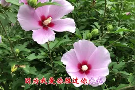 伤感DJ舞曲《没有结果的结果》特好听，唱出了多少情人的心声！视频封面