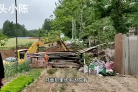河南许昌农村有大动作了，60年前的大坑要填上，这是要干啥视频封面
