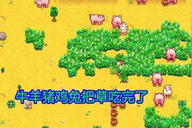 星露谷物语EP89：动物太多了，草都不够吃，只能一直种草