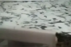 想看我长什么样子的人，不可能