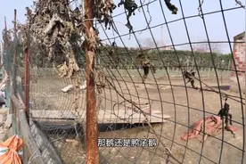 疗养院都自备农场，这规模够可以的，你们觉得呢？视频封面