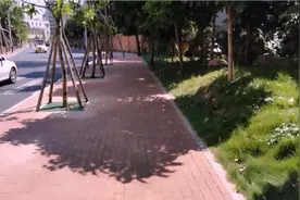 北方人去南方上大学感觉奇怪的点（3）  新生开学vlog