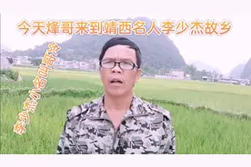 烽哥来看救过民国代总统李宗仁的人：李少杰故乡靖西市化峒镇隆屯视频封面