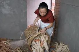 重庆美女回垫江老家，帮妈妈分担农活丝毫不含糊，真不愧是女汉子视频封面