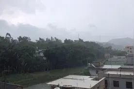 广西陆川人民日盼夜盼，终于盼来了一场大雨，干旱终于得到了缓解视频封面