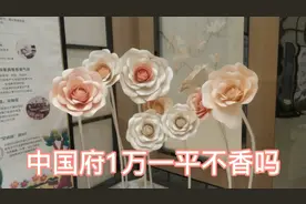 河北保定，北二环中国府，单价1万不香吗？视频封面