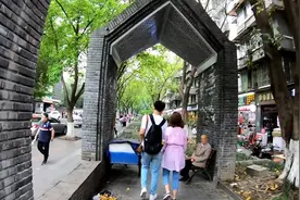 成都第二天，找到了个免费停车点，离宽窄巷几步路视频封面