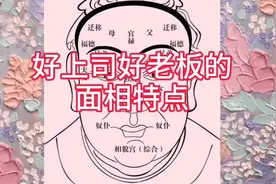 好上司好老板的面相特点视频封面