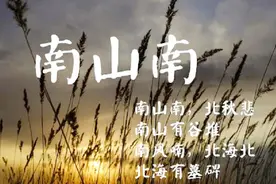 李梦瑶一曲《南山南》独特烟嗓音，唱进心里最柔软的地方！忘了吧视频封面