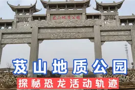 山东一处省级地质公园，发现数种恐龙脚印化石，跨越多个层面！视频封面