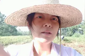 前期干旱后期多雨的湖北小镇，花生的产量还行，收获时却不好搞