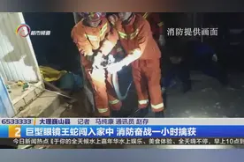 巨型眼镜王蛇闯入家中 消防奋战一小时擒获视频封面