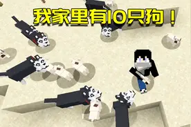 我的世界Mod：阿阳成为狗中之王？家里养了10种不同品种的宠物狗
