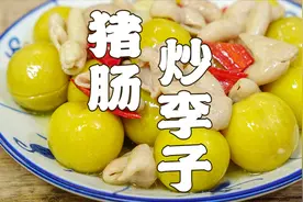李子生吃太酸涩，试试用它做菜，味道还挺不错视频封面