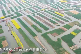 堆土成垛，垛上种田，江苏垛田入选“全球重要农业文化遗产”视频封面