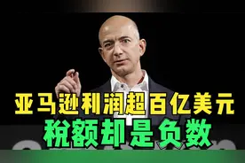 美国15大避税公司：亚马逊利润超百亿美元，税额却是负数？视频封面