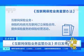 《互联网保险业务监管办法》14日发布|正点财经视频封面