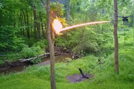 小哥被马蜂蛰了一下，气得直接用无人机喷火，捣毁马蜂老巢视频封面