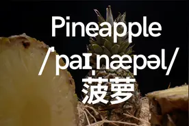 初学英文43个水果，英文单词必学，初学者必会 带音标