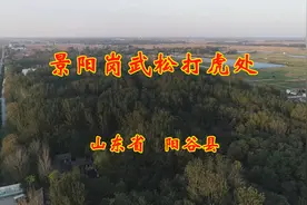 山东阳谷县的景阳岗武松打虎处视频封面