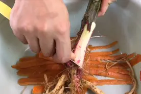 野刺苋菜，煲汤功效很好 湿热上火、肠胃不好拉肚子试试这款汤