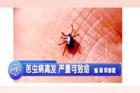 女童被小虫叮咬后去世，医生：此虫一生只会咬人一次，严重可致命视频封面