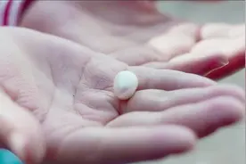 电影：女孩的眼泪可以变成珍珠，需要钱的时候，就大哭一场视频封面