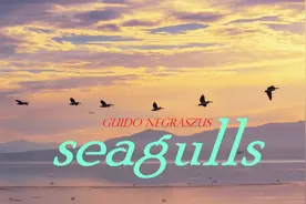 周末咖啡音乐醇享时光：充满美感的旋律 《Seagulls》（海鸥）视频封面