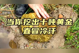 如果你在家挖出10吨黄金，不上交会怎样？看得我直冒冷汗！