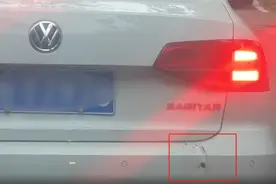 重庆动物园一白虎突然咬车，游客：还冲着我的车过来，吓一跳视频封面