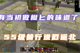 魔兽赛季服：55级厄运北竟然毕业了！不用猎人带自己也能进去视频封面