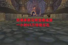 魔兽世界怀旧服：防骑单刷乌特加德城堡，一小时65万经验左右视频封面