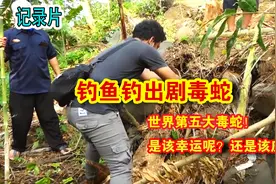 纪录片：钓鱼佬的快乐不在钓鱼的多少，而在于捕蛇技巧视频封面