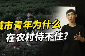 城市青年追求田园生活，但为何去了农村却待不住又都跑回来了？视频封面