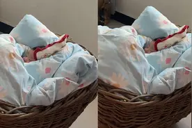 外婆买窝篓哄睡外孙，效果显著宝妈感慨：还是老一辈的哄娃神器香