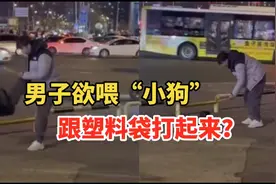 男子本想投喂“流浪狗”，走近一看竟是个塑料袋，气得上脚视频封面