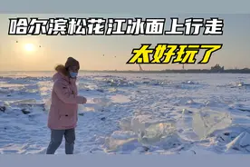 冬季到哈尔滨一定要去松花江，江面都冻瓷实了，在上面开车都可以视频封面