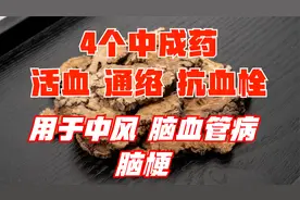 4种中成药，活血，通络，抗血栓，用于中风、脑血管病、脑梗视频封面